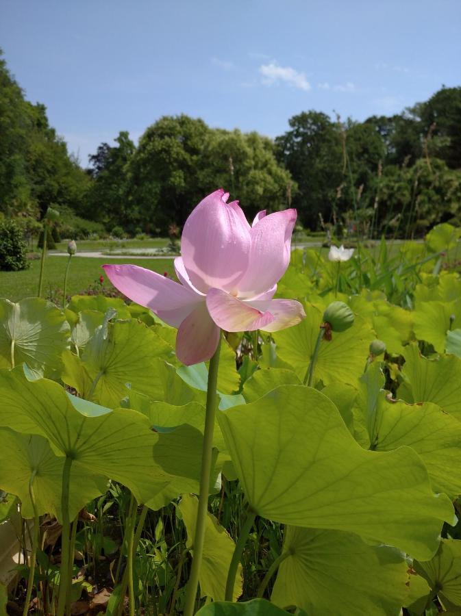 Botanical Garden Otel Zagreb Dış mekan fotoğraf